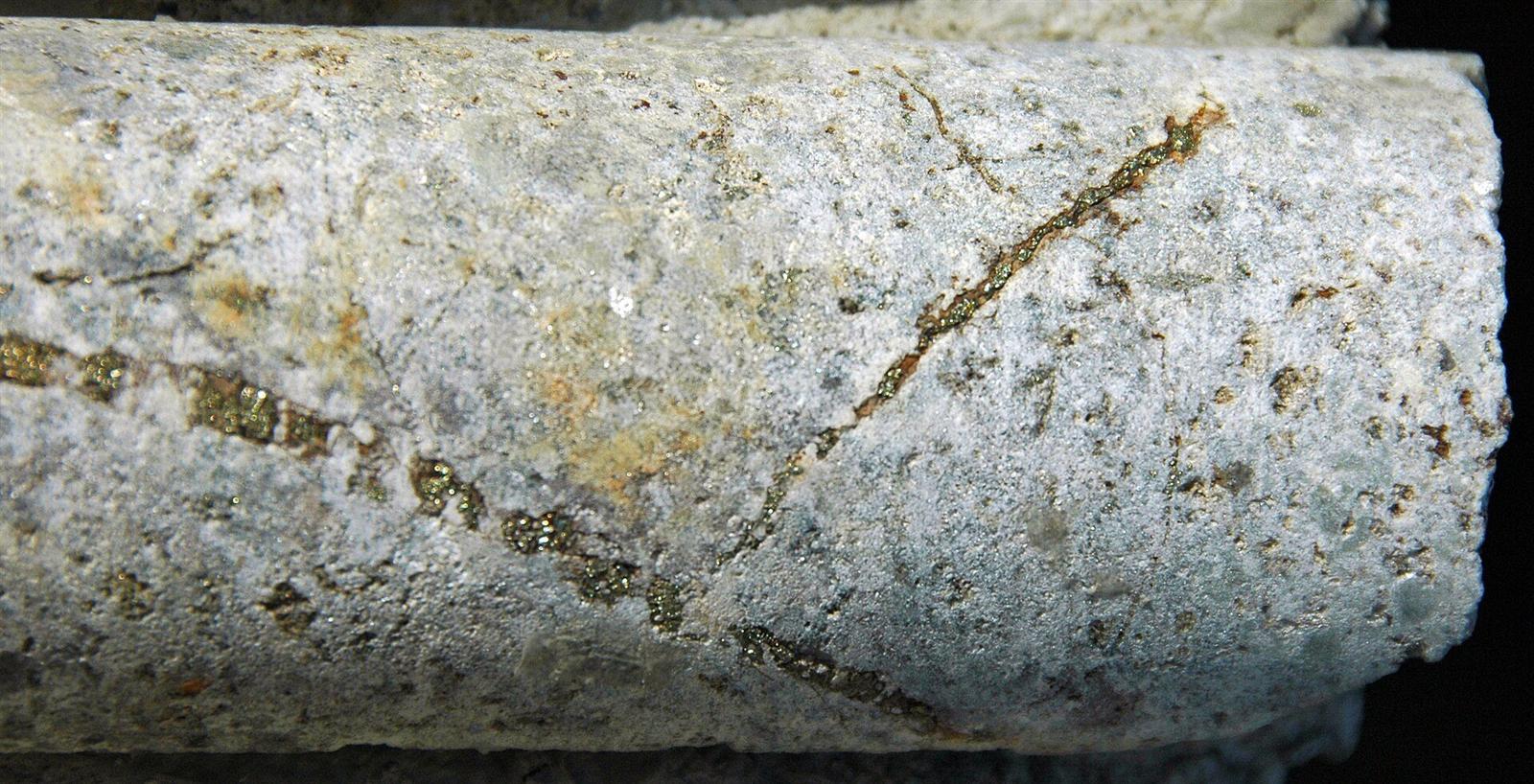 Pyrite veins in a rock drill core from the Butte Mining District in Montana, USA
